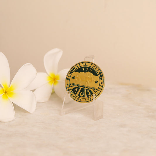 Star Coded | Fortune Harmony Coin | Feng Shui Talisman