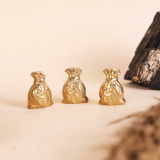 Star Coded | Golden Fortune Pyrite Money Bag