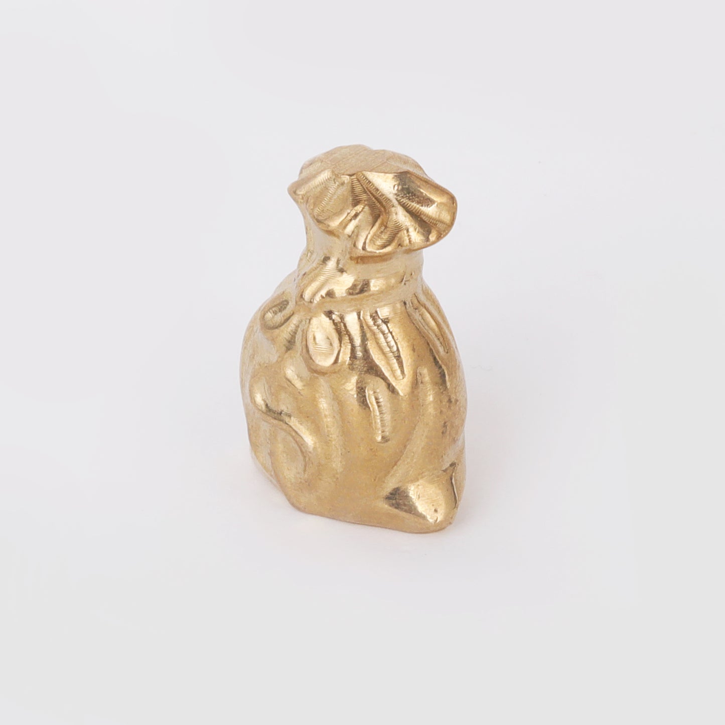 Star Coded | Golden Fortune Pyrite Money Bag
