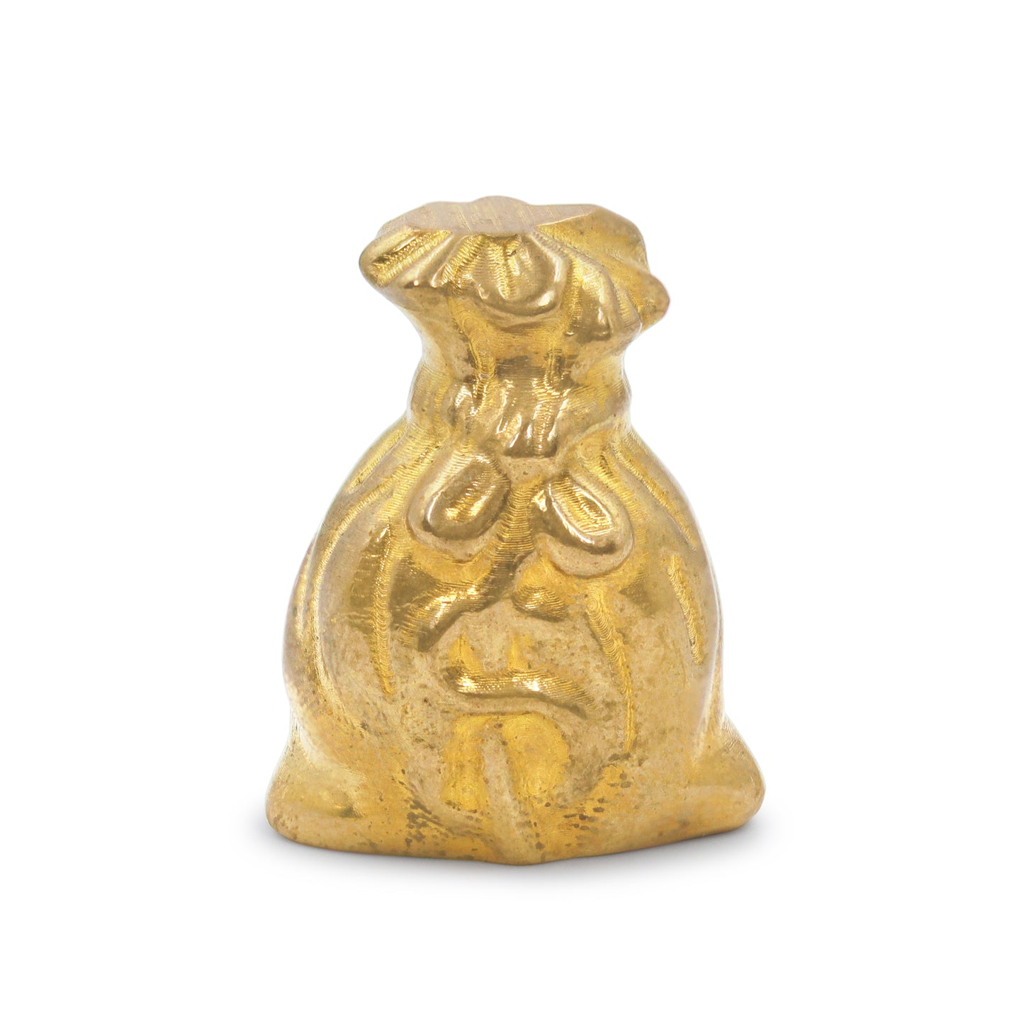 Star Coded | Golden Fortune Pyrite Money Bag