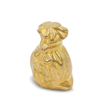 Star Coded | Golden Fortune Pyrite Money Bag