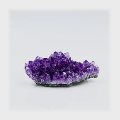 Divine Crown Cluster | Amethyst